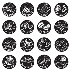 set of sixteen monochrome nuts icons