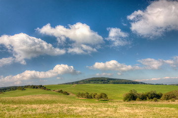 Fototapeta na wymiar Grassfield and blue sky with clouds
