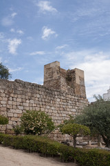 Fototapeta na wymiar Antigua muralla de la alcazaba de Mérida, España