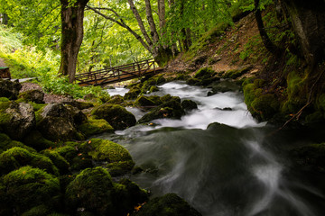 Obraz premium stream in the forest