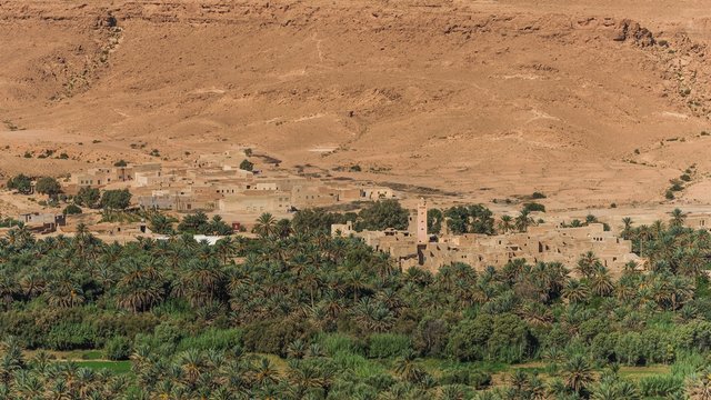 ziz valley in morocco