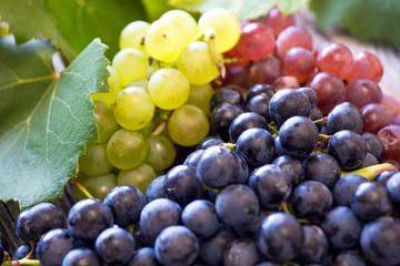 Grapes on a wooden table