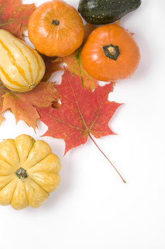Assorted Squash and Fall Leaves