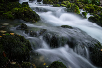 stream in the forest