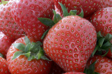 Strawberry Punnet 