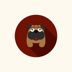 dog vector