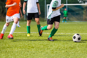 Fototapeta premium Football match for children. Training and soccer tournament