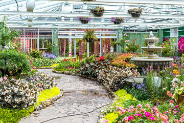 Ornamental flowers in a greenhouse.