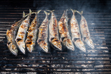 Mackerel grilled