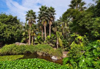 Fototapeta na wymiar Pond in park at Tenerife - Canary Spain