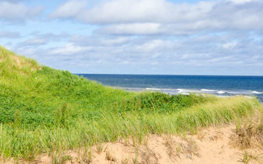Blue sky and grass and beach 