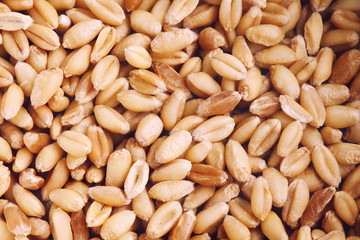 Wheat grains.
