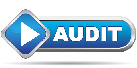 audit icon