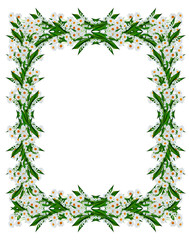 Round frame of flowers daisies