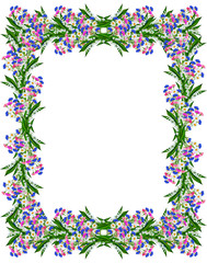 Fototapeta premium daisies summer white flower isolated on white background