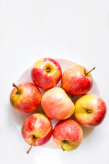 Autumn harvest of apples on a plate on a white background