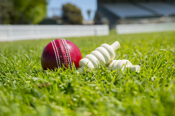 Cricket ball and bails on the field