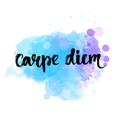 Carpe diem - latin phrase means seize the day, enjoy the moment