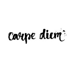 Carpe diem - latin phrase means seize the day, enjoy the moment