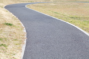 Long pathway through the public green park..