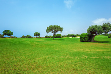 Fototapeta na wymiar Fresh Green of Golf Field