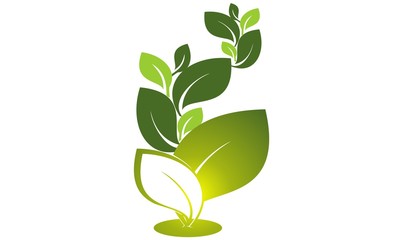 Your Company