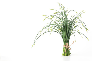 Chinese chives