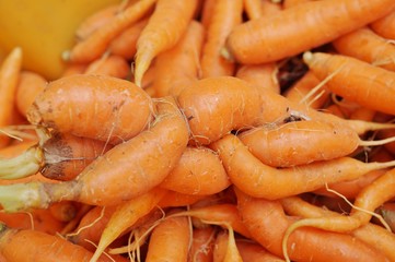 Ugly carrots at the farmers market
