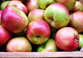 Fresh apples in crates at the farmers market