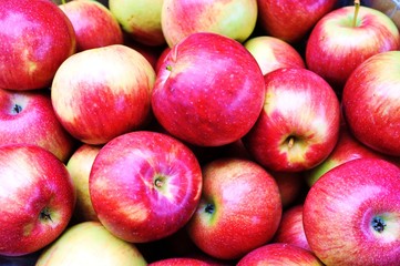 Fresh apples in crates at the farmers market