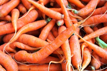 Fresh carrots in bulk at a farmers market
