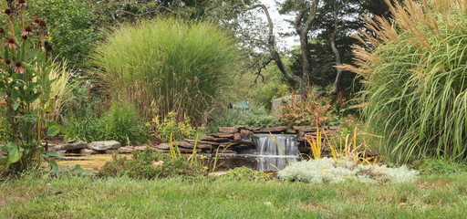 Obraz premium Plant life and a waterfall in a pond in New England on Cape Cod in summer. 