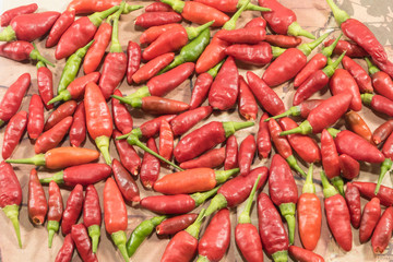 A lot of red chilli peppers