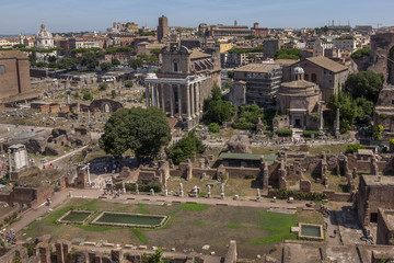 Obraz premium Ruiny Forum Romanum