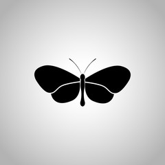 Butterfly icon