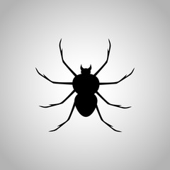 Spider icon