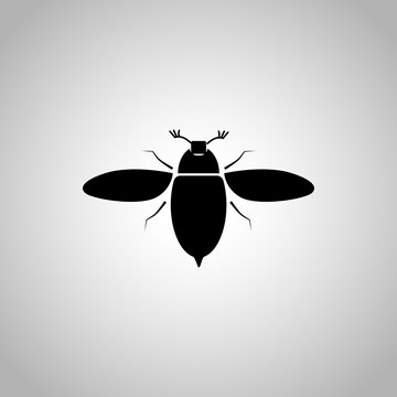 Bug icon