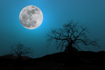 full moon in dark blue sky