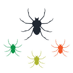 Spider icon