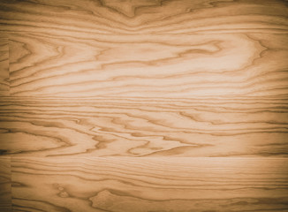 wood texture. background old panels