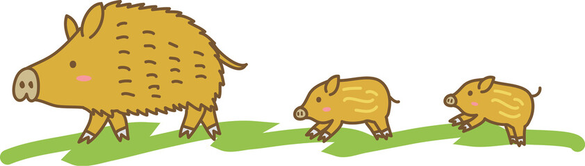 親子で歩くイノシシ