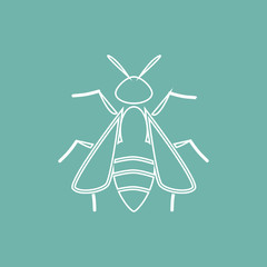 Bee icon