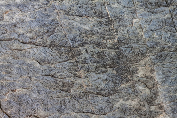 Close up texture of rock
