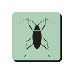 Bug icon