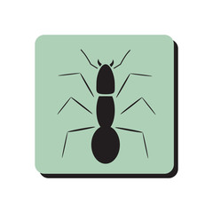 Ant icon