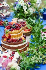 naked wedding cake