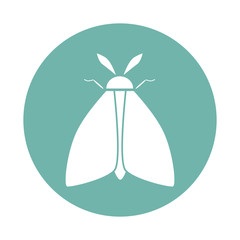 Butterfly icon