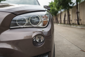 Headlight and fog lamp