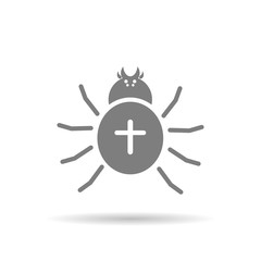 Spider icon