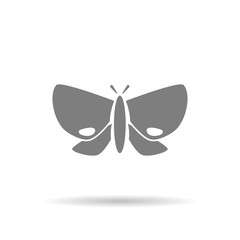 Butterfly icon